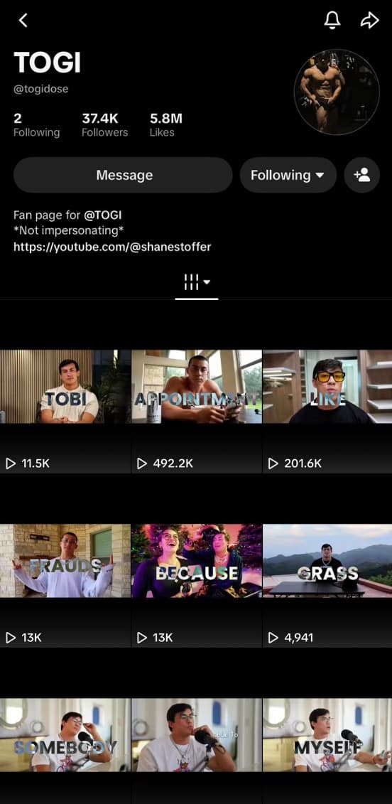 TOGI TikTok profile